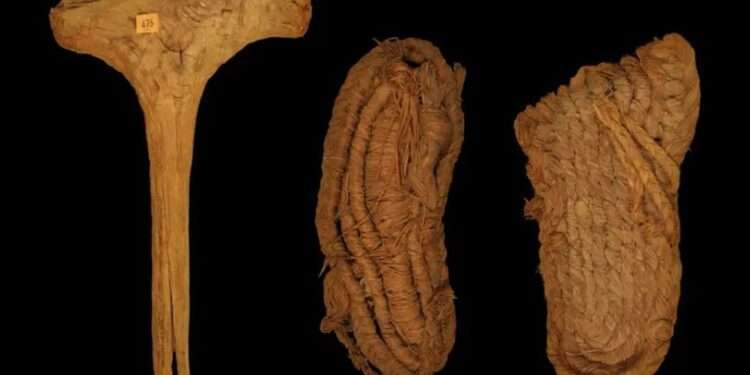 Europe’s oldest shoe found in Spanish bat cave