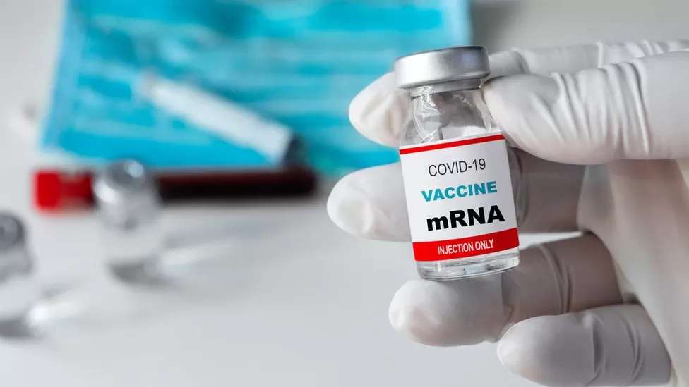 Nobel Prize goes to scientists behind mRNA Covid vaccines