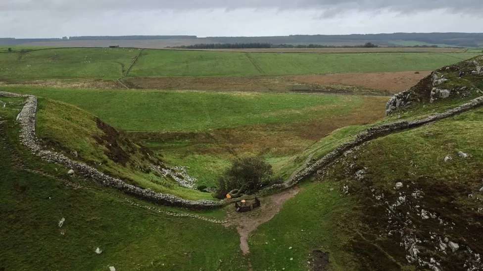 Sycamore Gap tree: Site plans are complicated, says MP