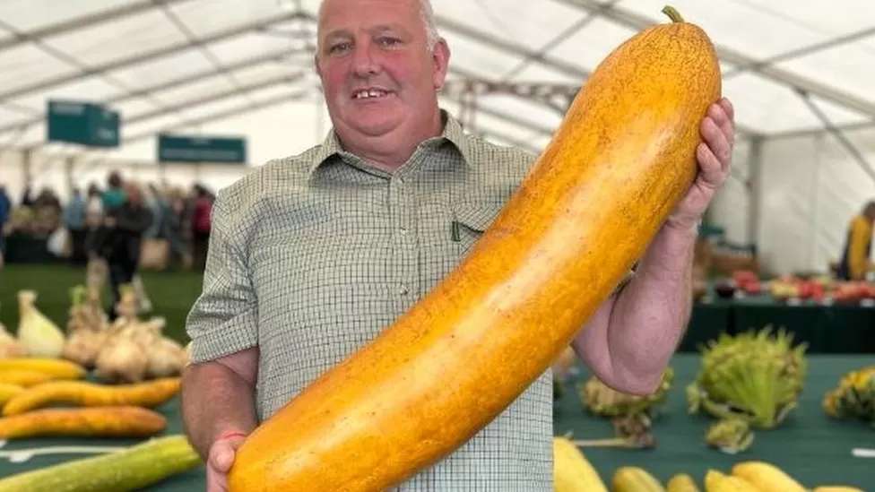 Barry man grows world's heaviest cucumber
