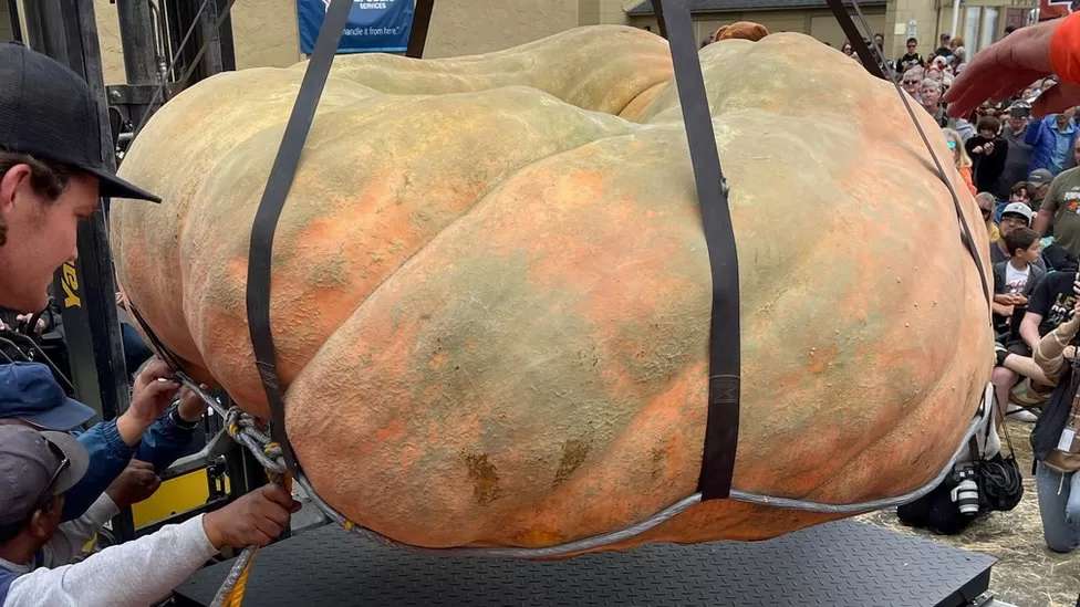 Pumpkin weighing 2,749lb squashes world record