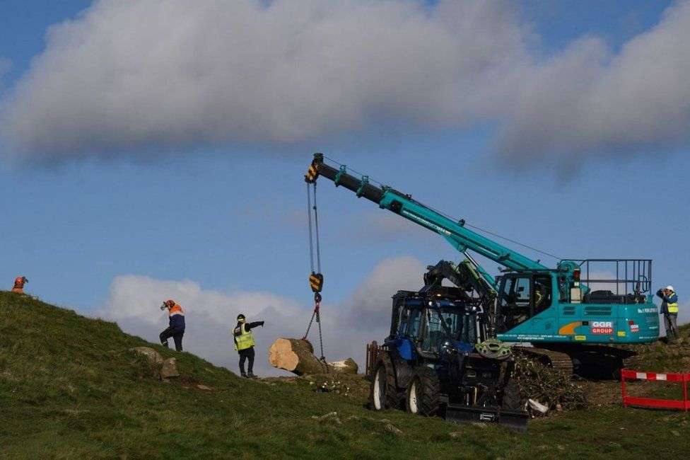 Sycamore Gap: Cutting up Hadrian's Wall tree 'like a funeral'