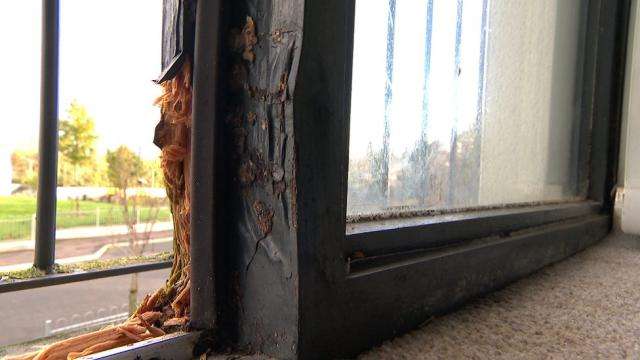 Bangor social housing residents living in 'unsafe' conditions