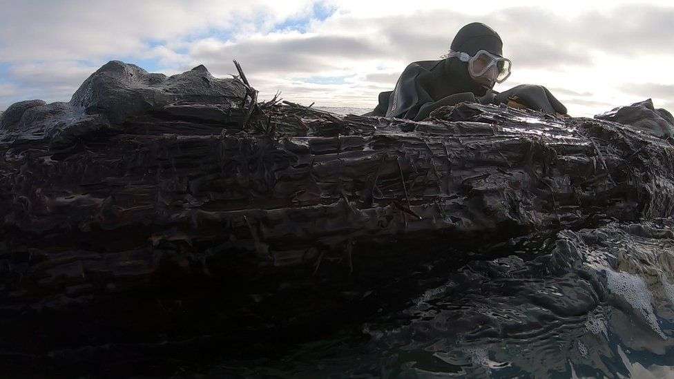 Canada shipwreck: Newfoundland locals try to solve Cape Ray mystery