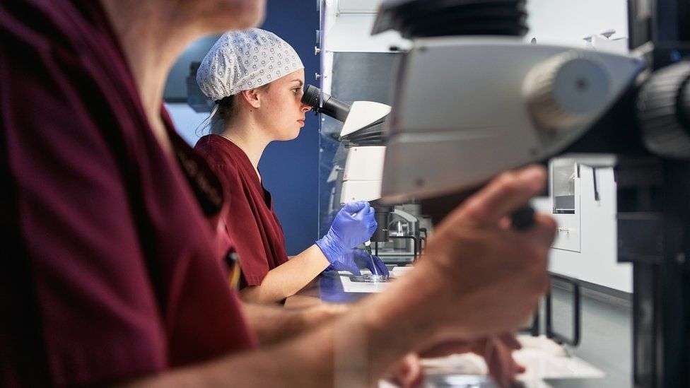 Alabama enacts fast-tracked law to protect IVF services