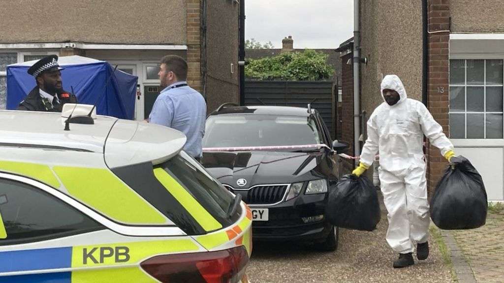 Woman dies in attack by registered XL bullies at east London home