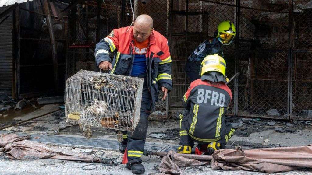 Fire at famous Bangkok market kills 1,000 animals