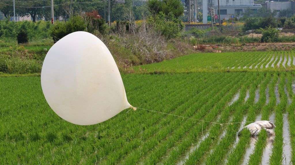 Trash balloons land near S Korea president's office