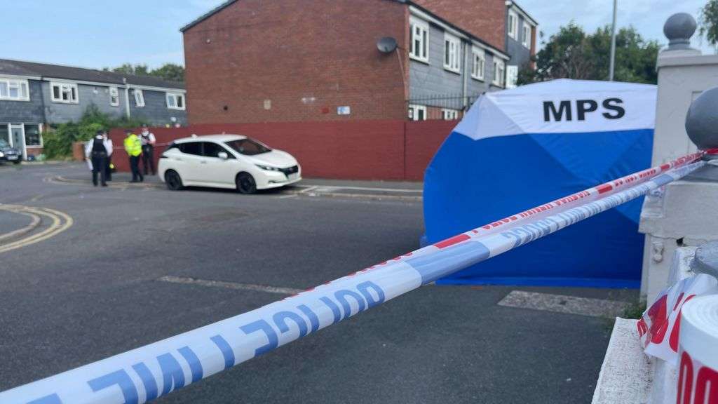 Boy, 15, stabbed to death in Hackney