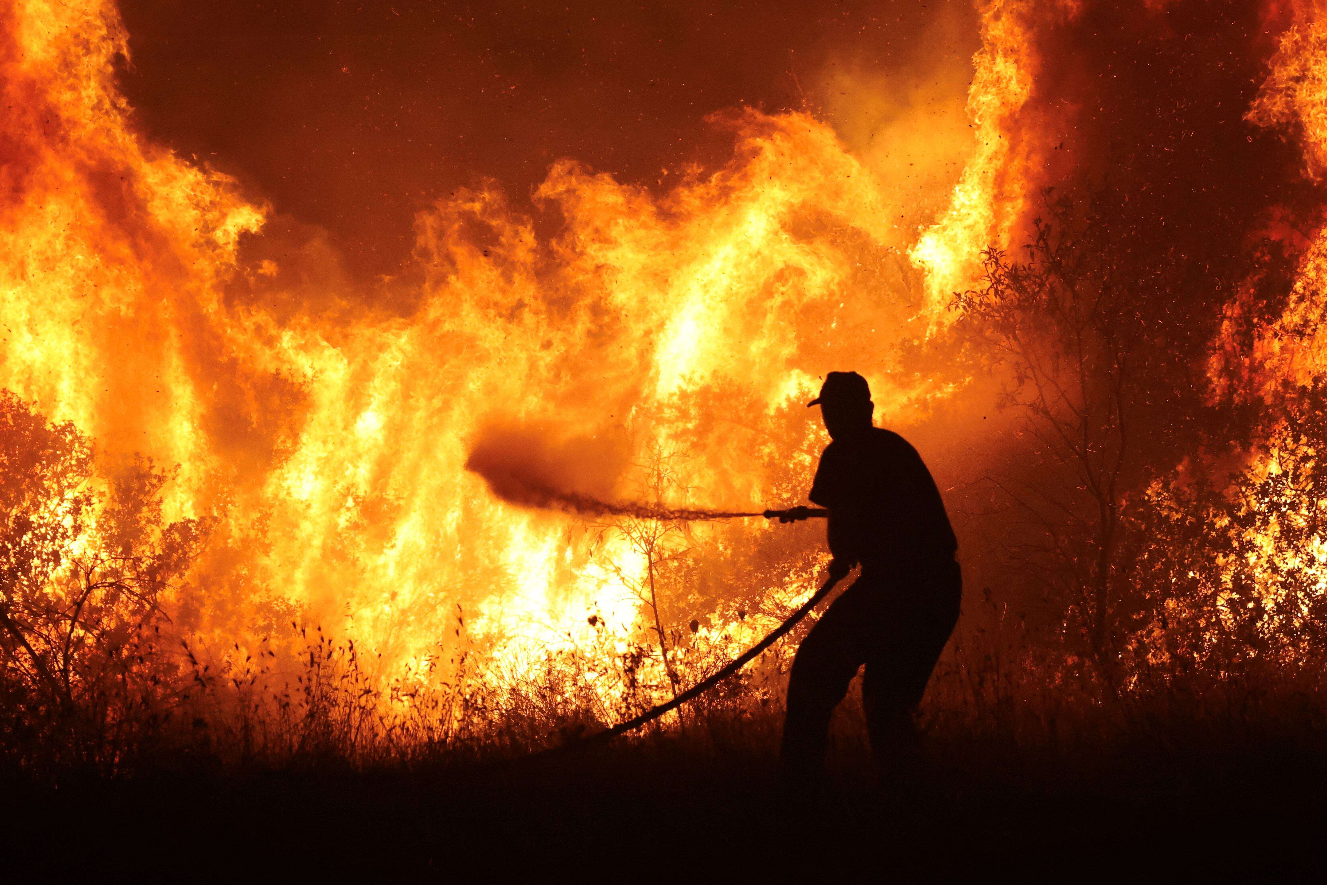 Thousands evacuated as wildfires reach Athens