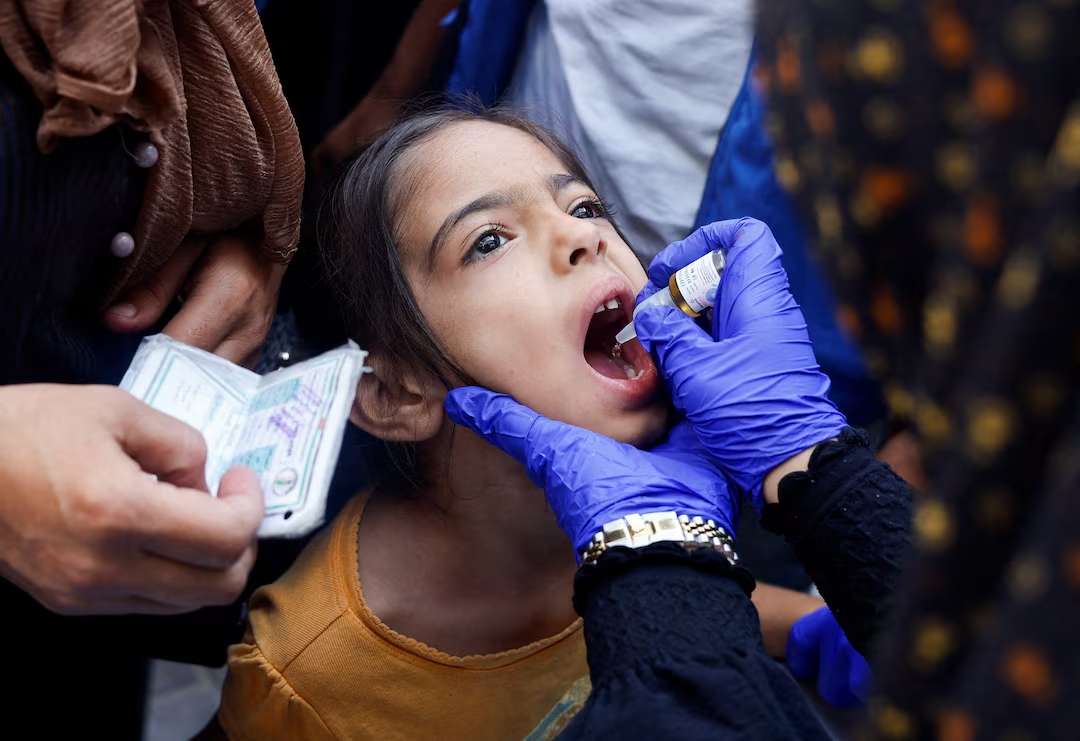 Second stage of Gaza polio campaign begins while war goes on in other areas