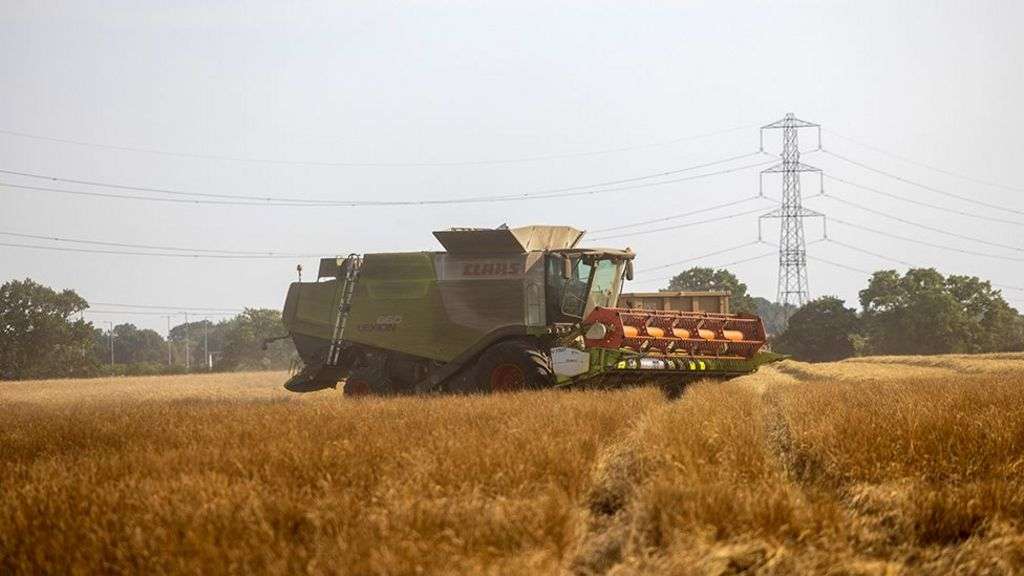 UK farming's 'net zero' climate target in doubt