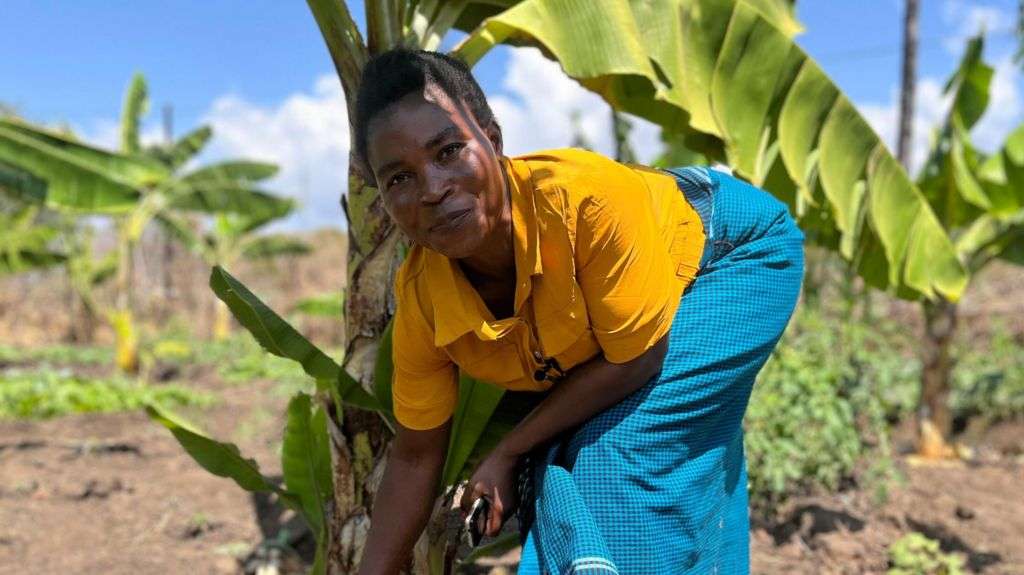 Banana wine brings sweet taste of success to Malawi farmers