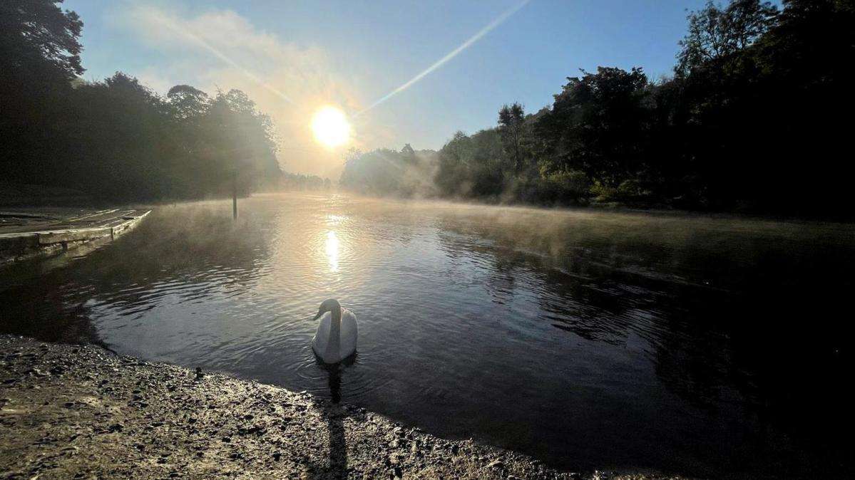 Temperatures forecast to top 20C in mild, wet week