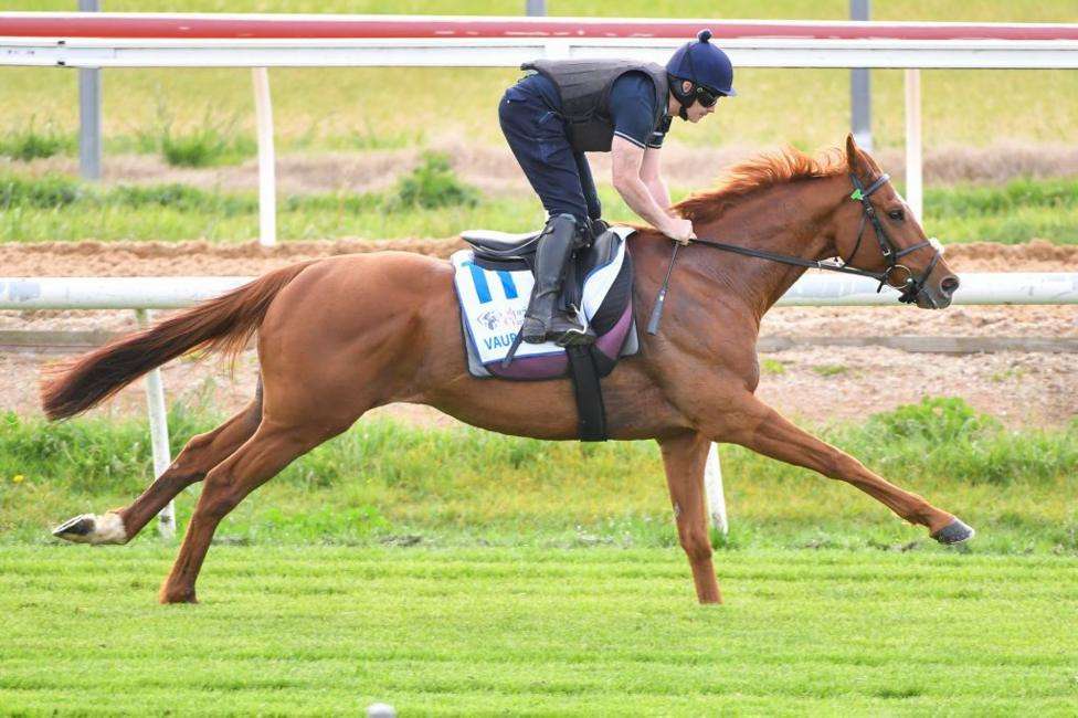 Mullins seeks triumph in Australia's Melbourne Cup