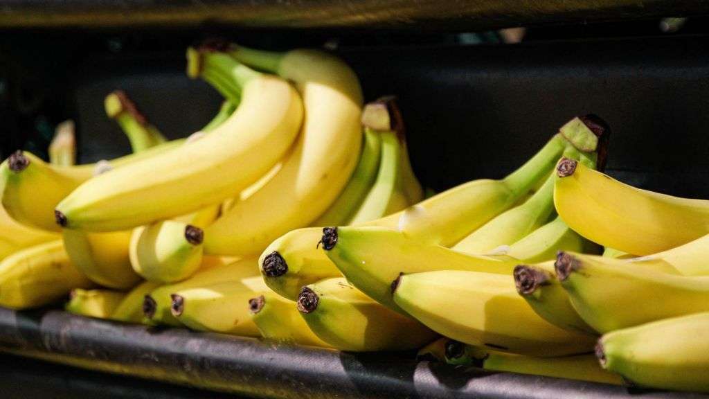 Staff 'banana-proof' areas for Swedish minister's phobia