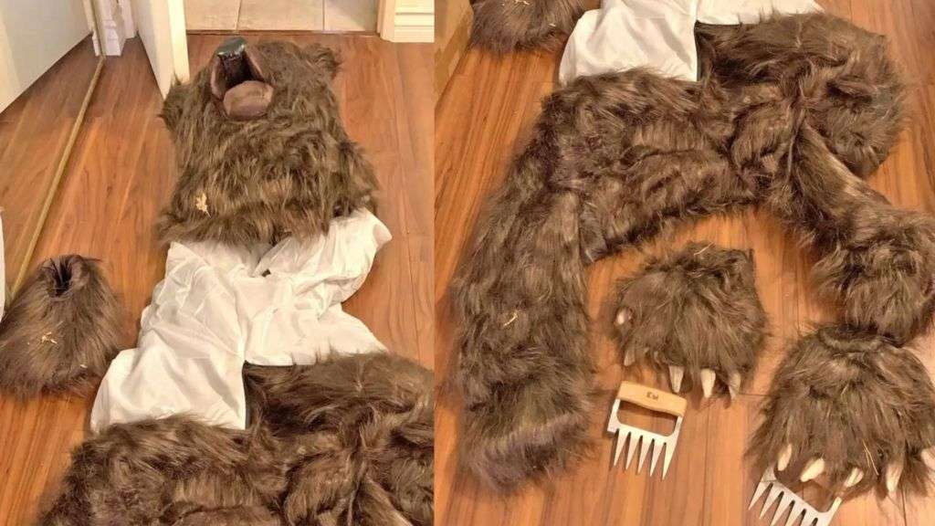 Suspects nabbed for 'man in bear suit' insurance scam