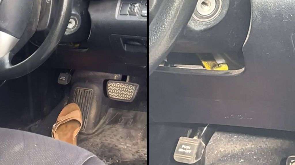 Venomous snake slithers up driver's leg on Australia motorway