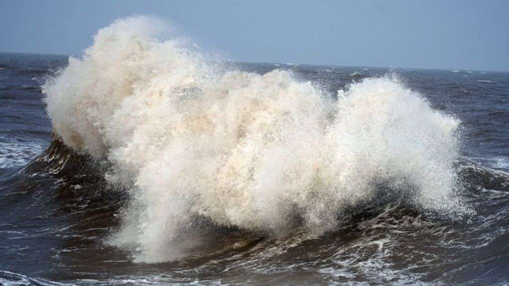 Fallen tree warning with 75mph winds expected