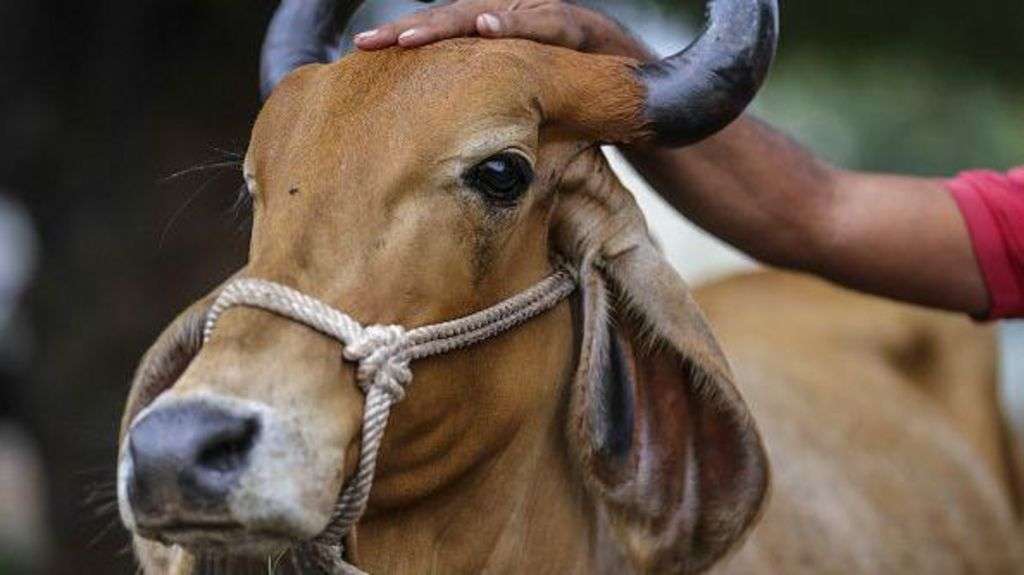 Indian state bans eating beef in public