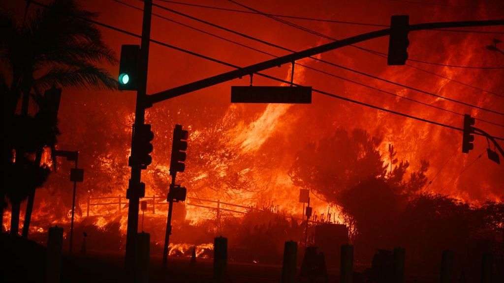 'Run for your lives!' LA residents abandon cars to flee wildfire on foot