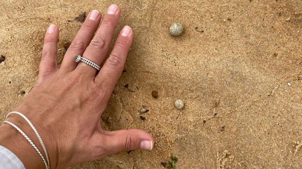Marble-sized balls force Sydney beaches to close