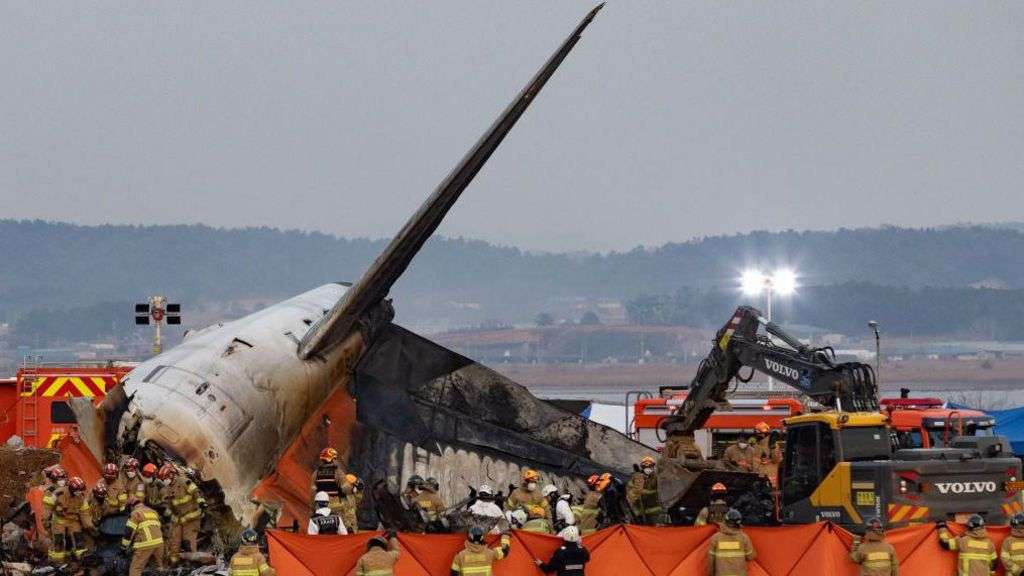 South Korea orders airports to install bird detection cameras