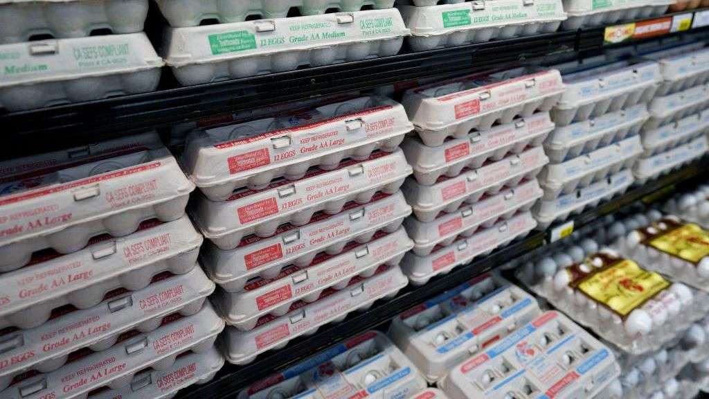 Trump administration unveils bird flu plan as egg prices soar