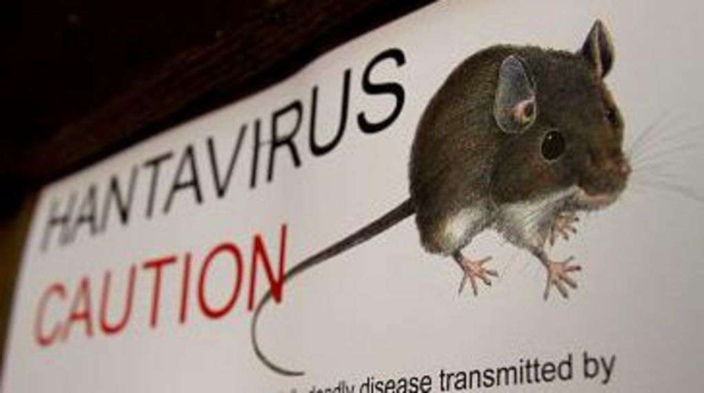 What is hantavirus, disease that killed Gene Hackman's wife?