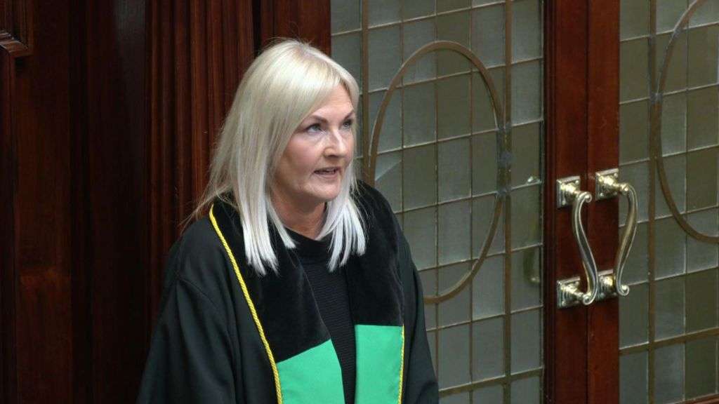 Dáil adjourns as rowdy scenes erupt over speaking rights