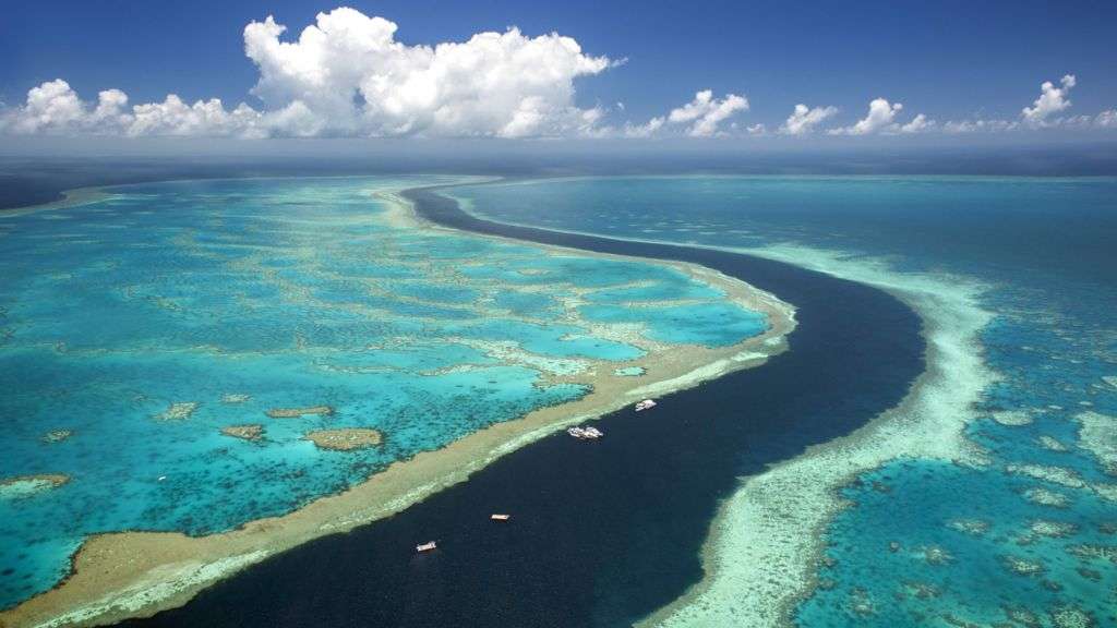 Two British tourists drown near Great Barrier Reef