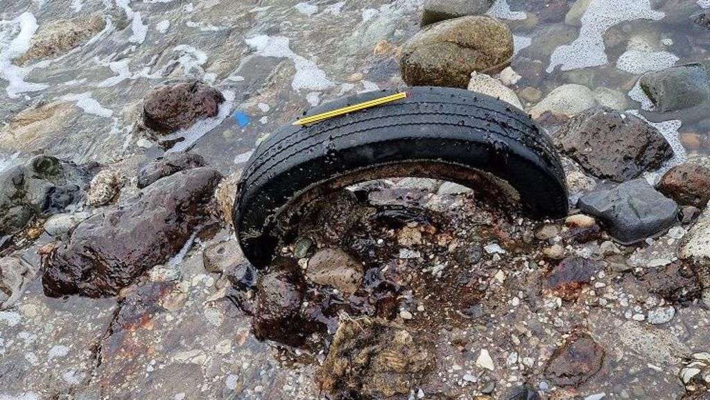 Industrial waste turning into rock 'in decades'