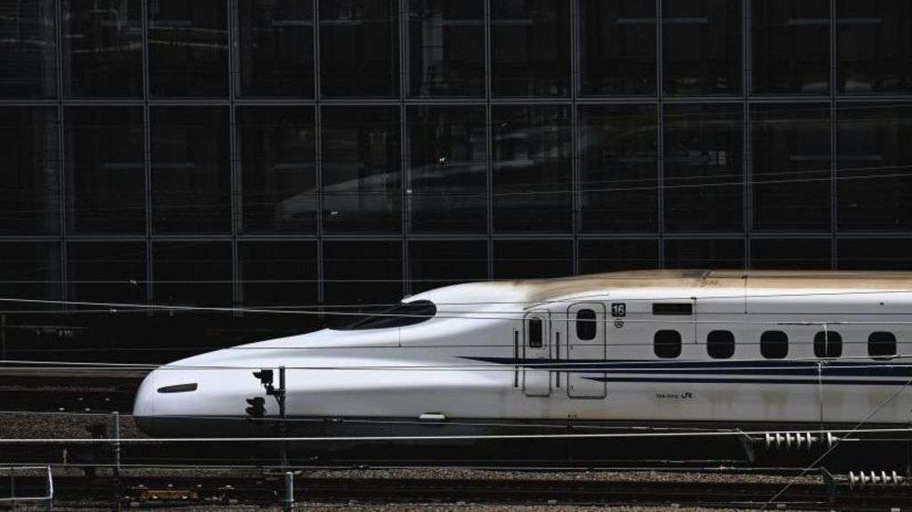 Snake halts Japanese bullet trains after wrapping around power line