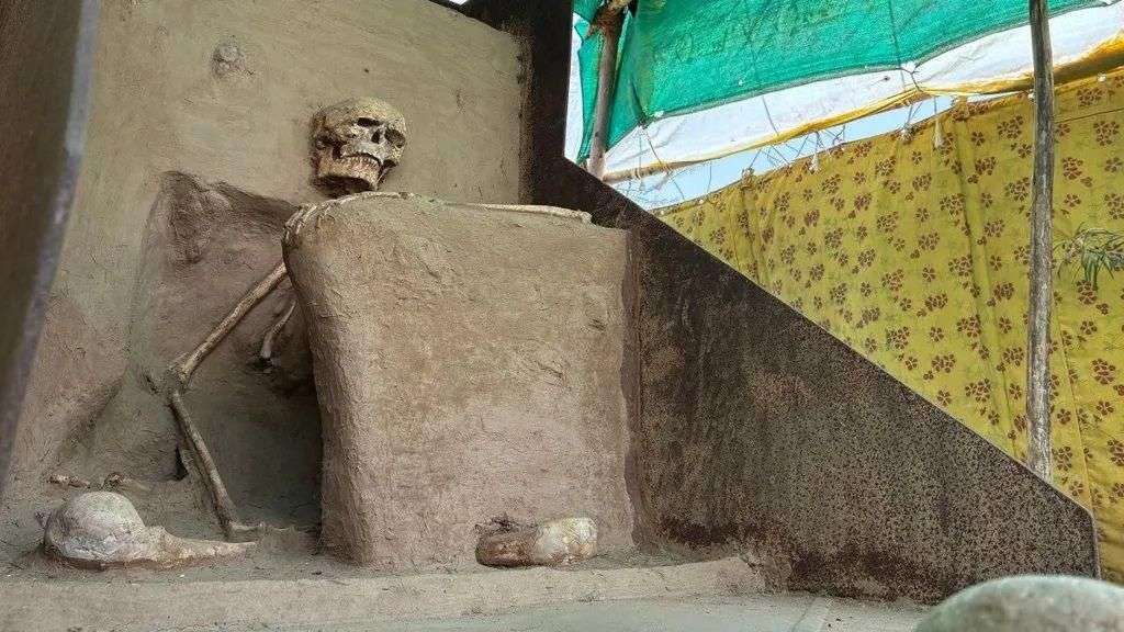 Ancient Indian skeleton gets a museum home six years after excavation