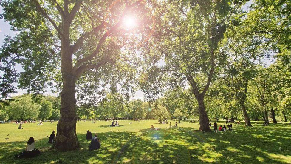 UK temps to hit 26C this weekend after sunniest spring on record