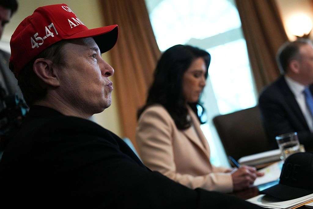 It's Musk's last day - what has he achieved at the White House?