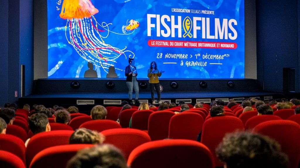 Invite to submit work to French film festival