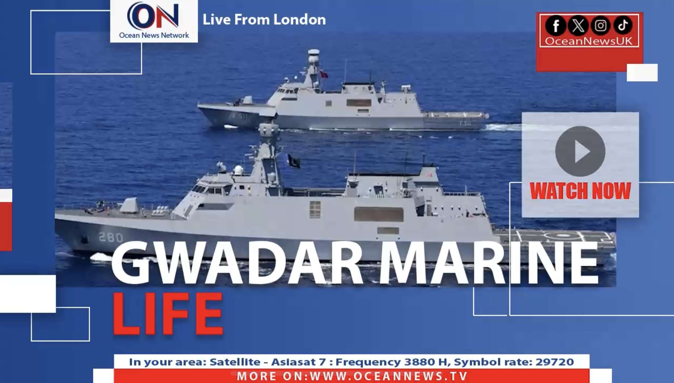 Arabian humpback whales has been spotted off the coast of Gwadar