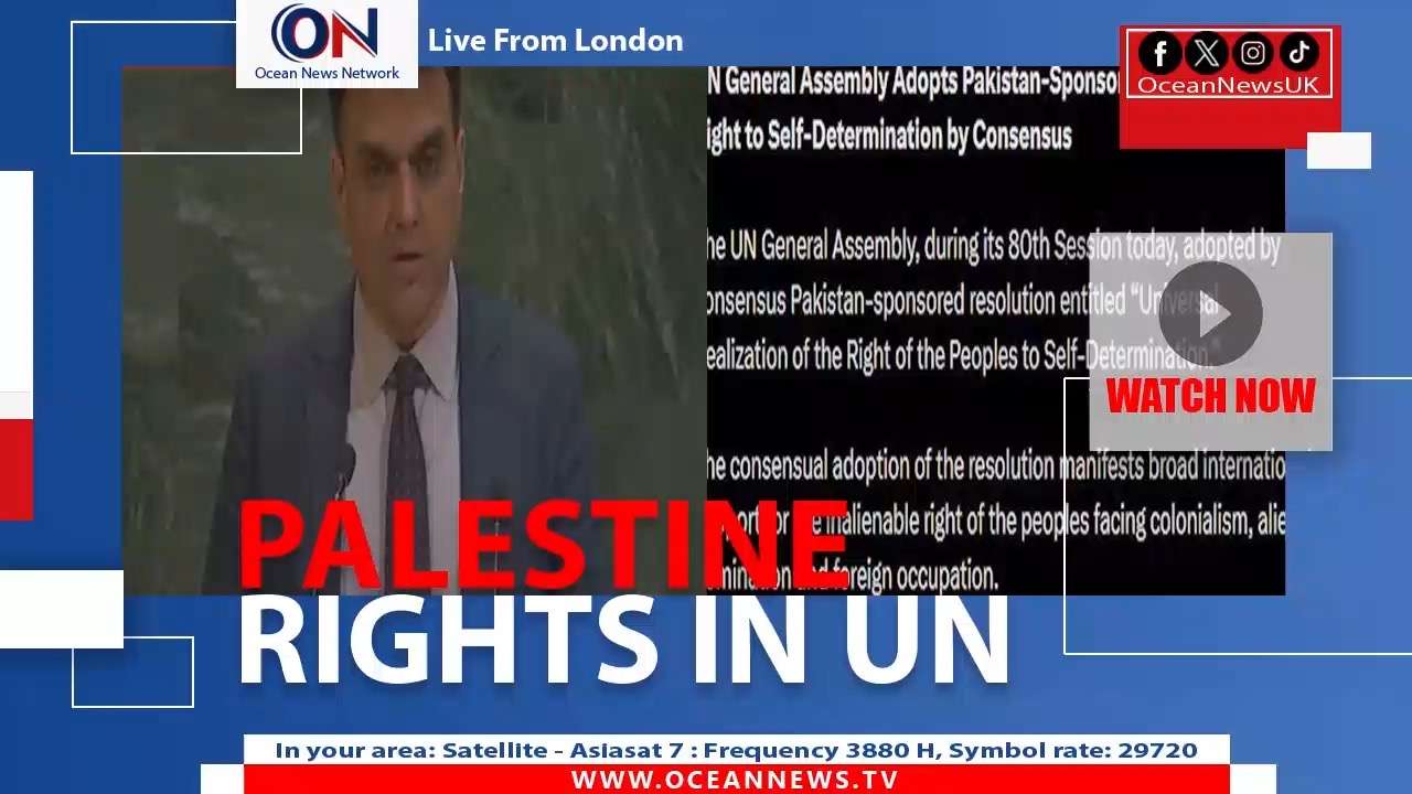 Palestine Rights in UN