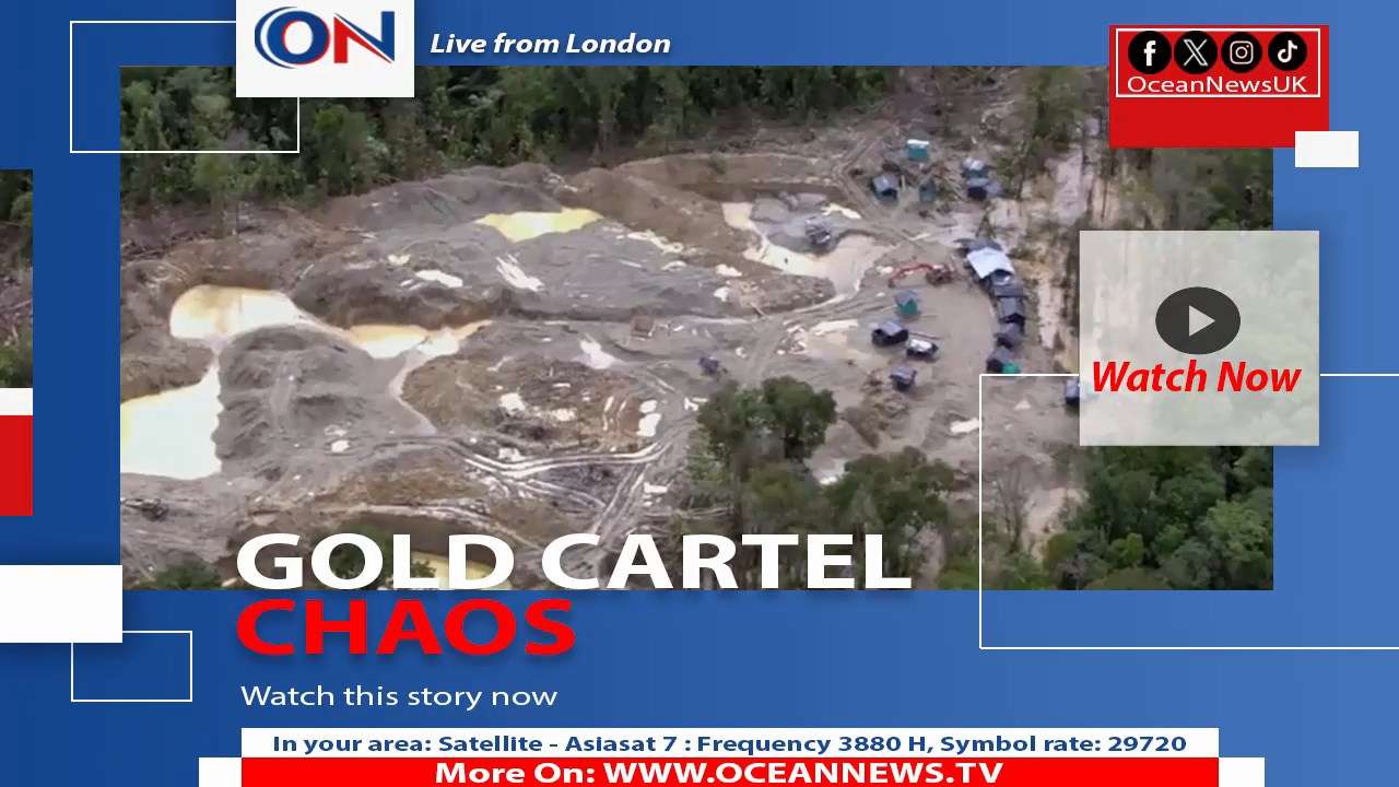 Criminal Cartels Shift to Illegal Gold Mining, Driving Violence in Latin America and South Africa