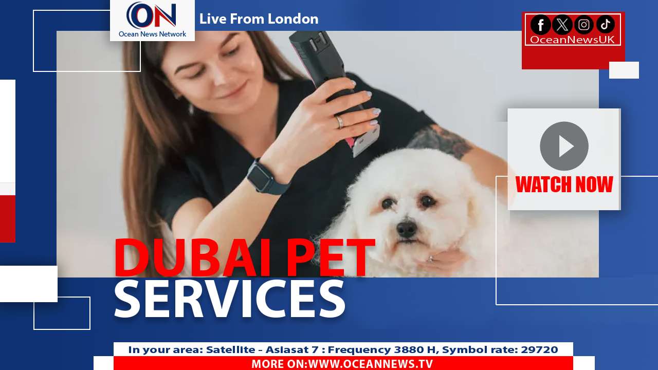 Dubai Launches Pet Evacuation Service