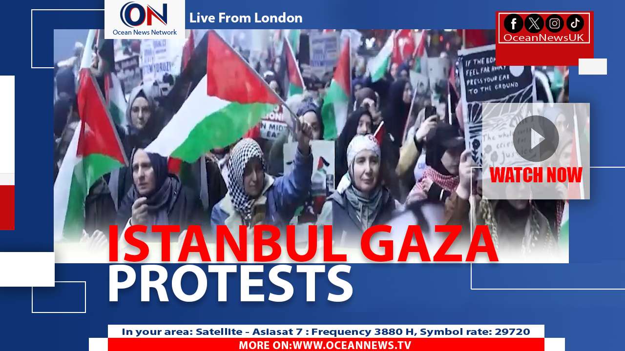 Protesters Rally in Istanbul After Gaza Flotilla Intercepted