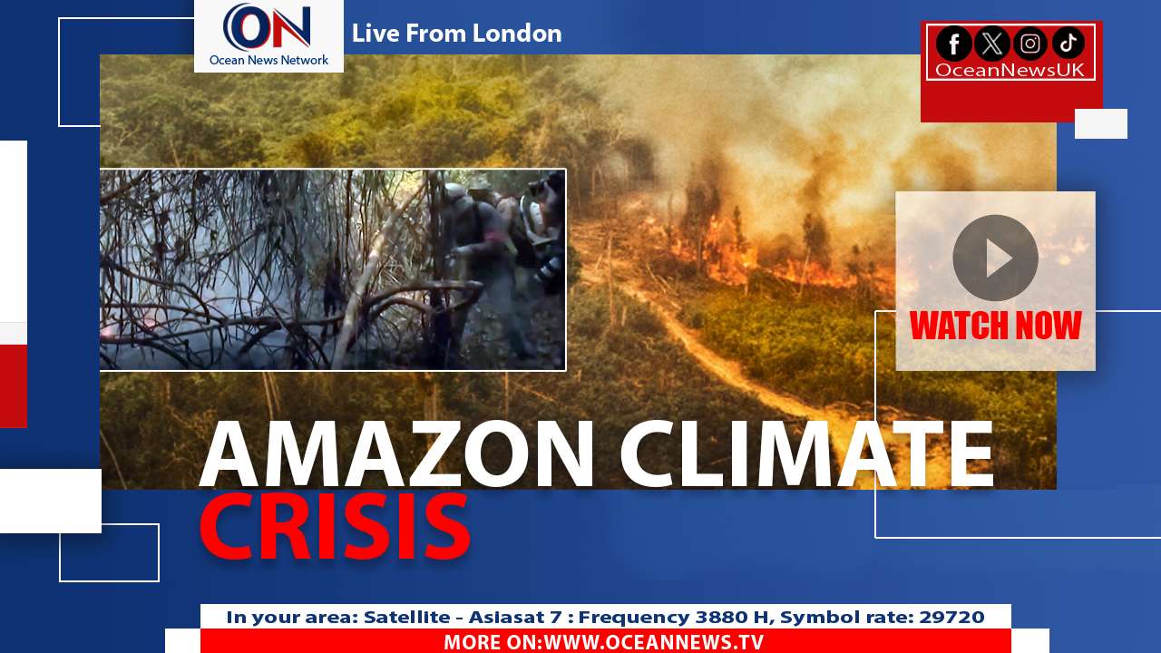 Brazil Sees Lowest Amazon Deforestation Since 2012