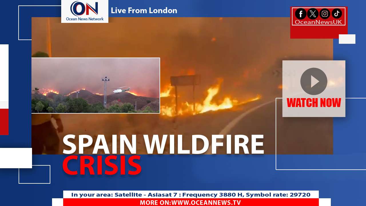Wildfire Kills 11 in Spain’s Almería Amid Heatwave
