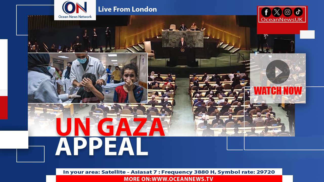 UN Condemns Civilian Deaths, Urges Protection of Gaza Hospitals