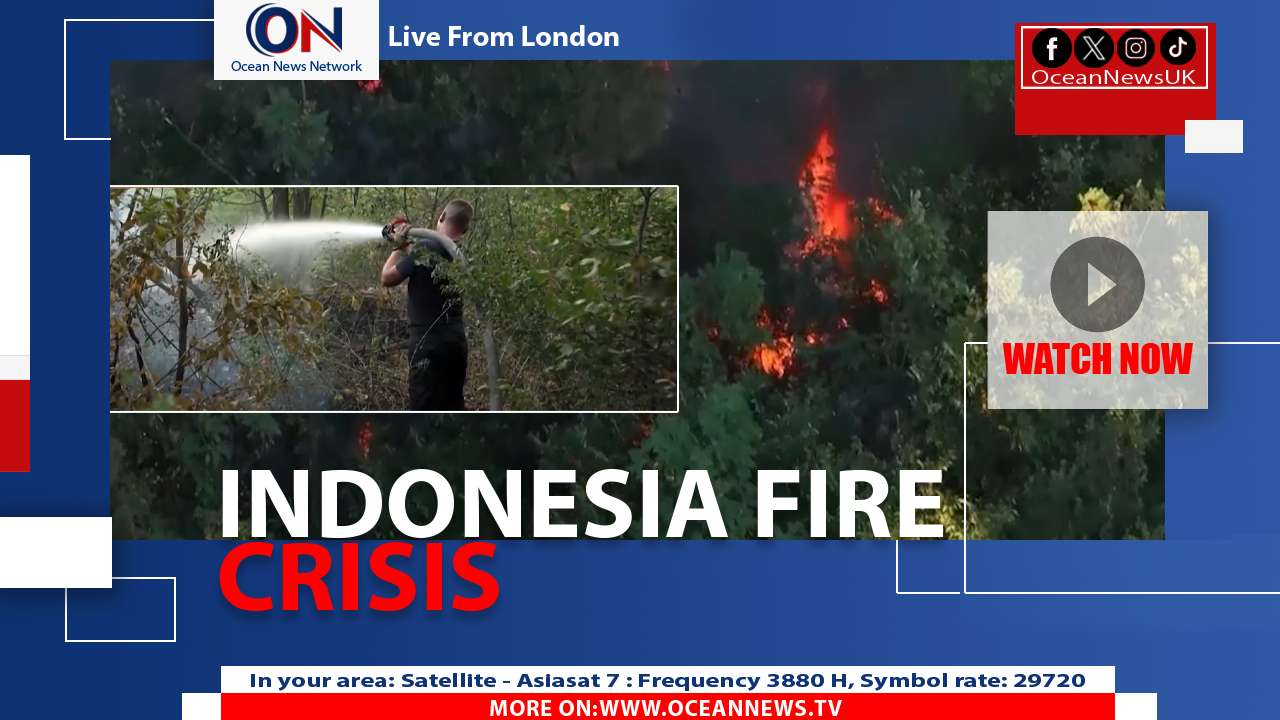 Indonesia Wildfires Blanket Region in Hazardous Smoke