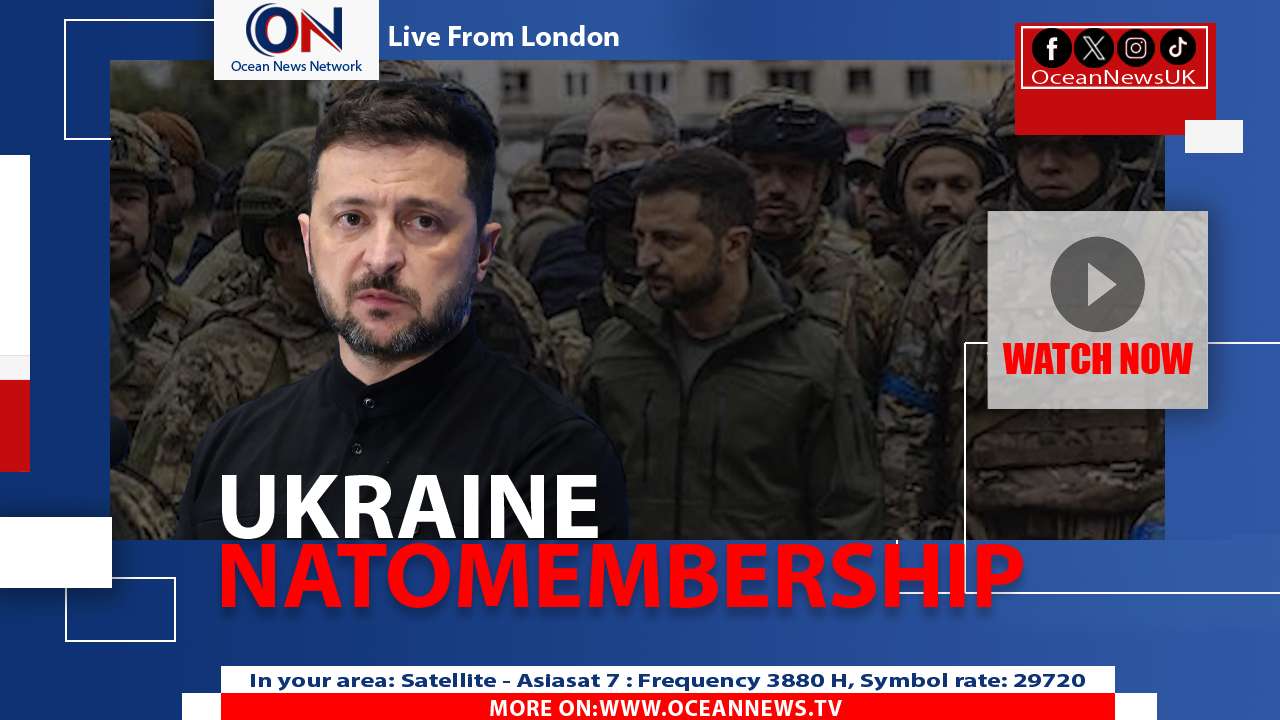 Zelensky Renews NATO Push: Ukraine’s Battle‑Hardened Army