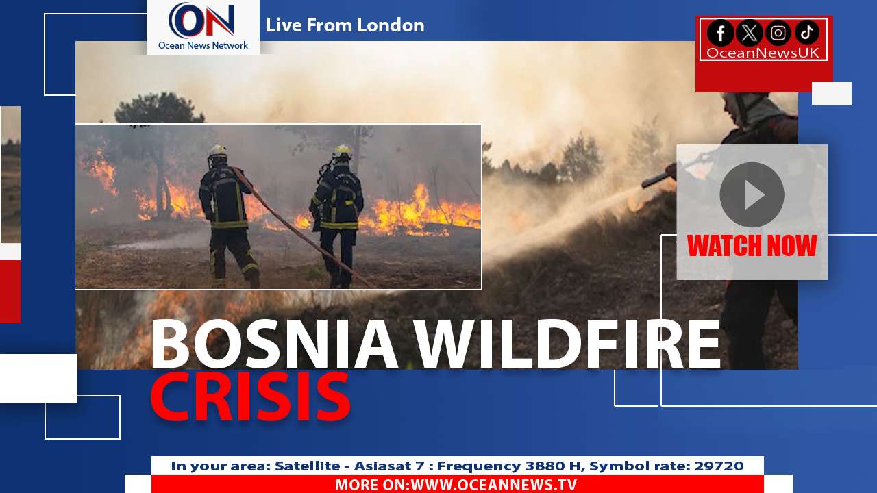 Bosnia Battles Massive Forest Fire Near Croatia
